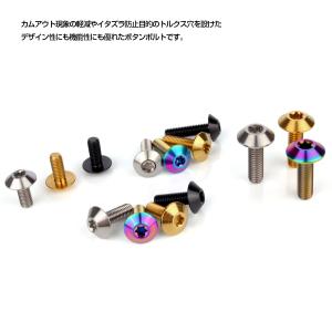チタンボルト M5 15mm P0.8 ボタン...の詳細画像3