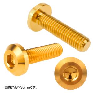 チタンボルト ボタンボルト M8×30mm P...の詳細画像2