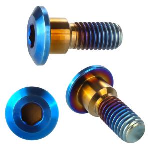 チタンボルト M8×22mm P1.25 ブレ...の詳細画像2