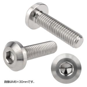 チタンボルト M6×15mm P1.00 ボタ...の詳細画像2