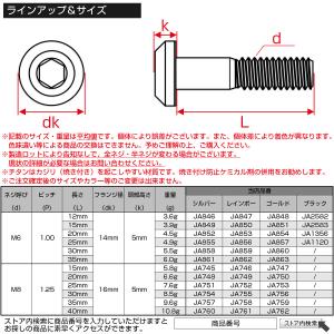 チタンボルト ボタンボルト M6×20mm P...の詳細画像4