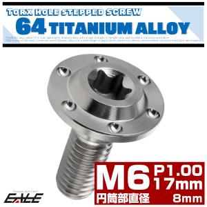 チタンボルト M6×17mm P1.0フランジボルト 段付き 円筒部直径8mm トルクス穴 シルバー JA879｜eale