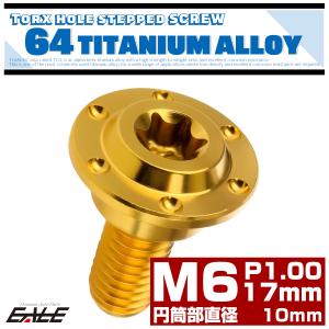 チタンボルト M6×17mm P1.0フランジボルト 段付き 円筒部直径10mm トルクス穴 ゴールド JA887｜eale