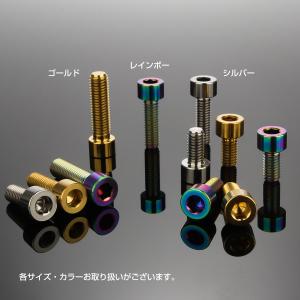 チタンボルト M6×15mm P1.0 キャッ...の詳細画像2
