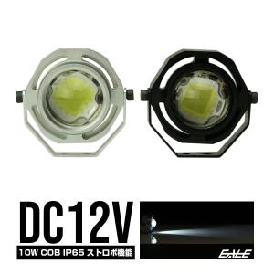 スポットライト 10W COB LED 汎用型 IP65 ストロボ機能付き P-303P-304