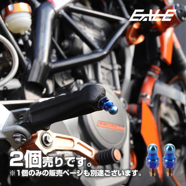 20mm バンクセンサー 汎用 ネジ M6×10mm P1.0 補修 交換用 ドレスアップにも 焼き...