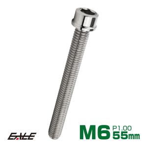 SUS304 キャップボルト M6×55mm P1.0 六角穴付きボルト スリムヘッド シルバー ステンレス製 TB0198｜eale