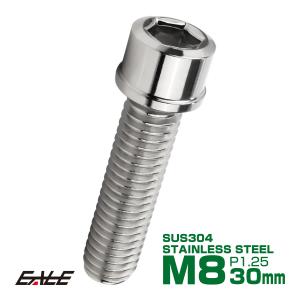 マキタ（makita） パイプクリーニングホース 8m AR00003171 ホース先端