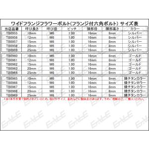 M6×20mm P1.00 ワイドフランジフラ...の詳細画像3
