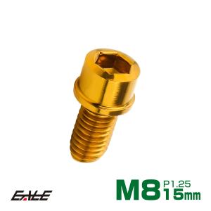 法螺貝　中　36センチ　カバー付き 法螺貝 中 36センチ カバー付き