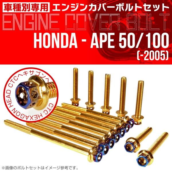 エイプ 50 100 -2005 エンジンカバーボルト 14本set CTCヘキサゴンヘッド 金＆焼...