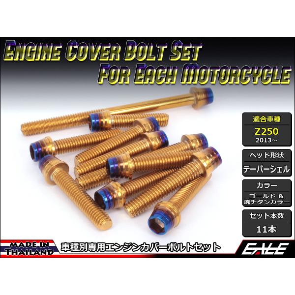 Z250(ER250) エンジンカバー ボルト11本set キャップボルト CTCテーパーシェルヘッ...