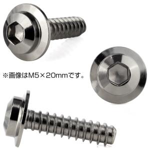 タッピングネジ M4×12mm トラス頭 ステ...の詳細画像3