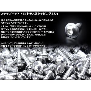 タッピングネジ M4×16mm トラス頭 ステ...の詳細画像2