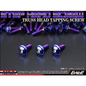 M4×16mm ステップヘッドネジ タッピングネジ ステンレス 削り出し