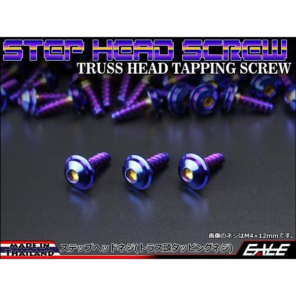 M4×12mm ステップヘッドネジ タッピングネジ ステンレス 削り出し トラス頭 カウルやパネルな...