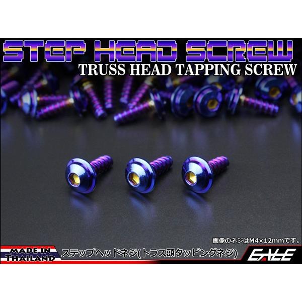 M5×16mm ステップヘッドネジ タッピングネジ ステンレス 削り出し トラス頭 カウルやパネルな...