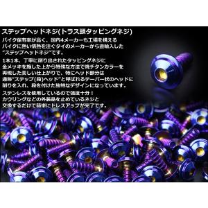 M5×16mm ステップヘッドネジ タッピング...の詳細画像1