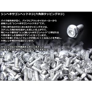 タッピングネジ M5×16mm シンヘキサゴン...の詳細画像2
