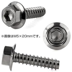 タッピングネジ M5×16mm シンヘキサゴン...の詳細画像3