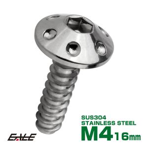 タッピングネジ M4×16mm トラス頭 ステップヘッド ネジ 六角穴