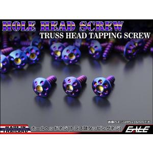 M5×16mm ホールヘッドネジ タッピングネジ ステンレス