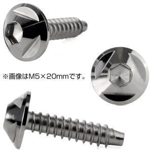 タッピングネジ M4×12mm トライアングル...の詳細画像3
