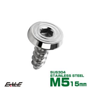 タッピングネジ M5×15mm SUS304 ステンレス シェルヘッドフラット 六角穴 フランジ付き ネジ シルバー TC0153｜eale