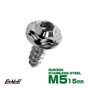 タッピングネジ M5×15mm SUS304 ステンレス スノーヘッド 六角穴 フランジ付き ネジ シルバー TC0183｜eale