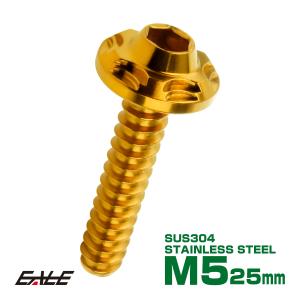 タッピングネジ M5×25mm SUS304 ステンレス スノーヘッド 六角穴 フランジ付き ネジ ゴールド TC0190｜eale