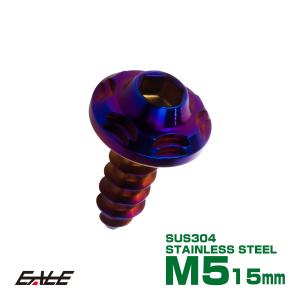 タッピングネジ M5×15mm SUS304 ステンレス スノーヘッド 六角穴 フランジ付き ネジ 焼きチタンカラー TC0193｜eale