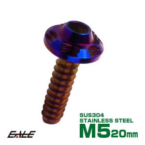 タッピングネジ M5×20mm SUS304 ステンレス スノーヘッド 六角穴 フランジ付き ネジ 焼きチタンカラー TC0194｜eale