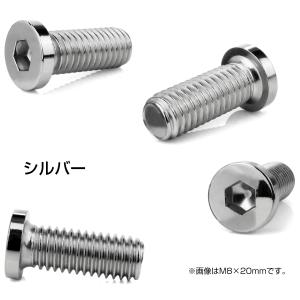 ブレーキ ディスクローター ボルト ヤマハ用 ...の詳細画像2