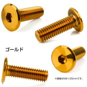 ブレーキ ディスクローター ボルト ヤマハ用 ...の詳細画像2