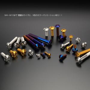 ボタンボルト スターホールヘッド M6×15m...の詳細画像3