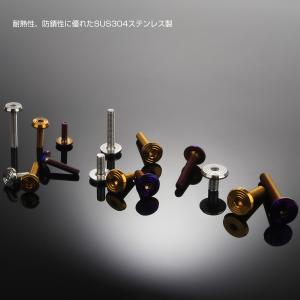 ステンレスボルト M4×15mm P0.7 シ...の詳細画像3