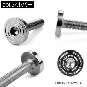 6×10mm P1.0 シェルヘッド フラット...の詳細画像2