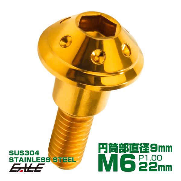 段付きボルト M6×22mm P1.0 円筒部直径9mm ホールヘッド SUS304 ステンレス 六...