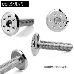 ステンレスボルト M5×15mm P0.8 ホ...の詳細画像2