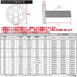 ステンレスボルト M6×15mm P1.0 ホ...の詳細画像4