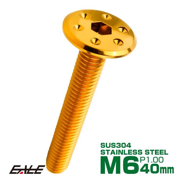 ステンレスボルト M6×40mm P1.0 ホールヘッド フラット 六角穴付 ボタンボルト SUS3...