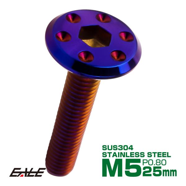 ステンレスボルト M5×25mm P0.8 ホールヘッド フラット 六角穴付 ボタンボルト SUS3...