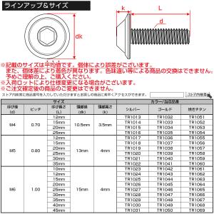 ボタンボルト M6×15mm P1.00 デザ...の詳細画像4