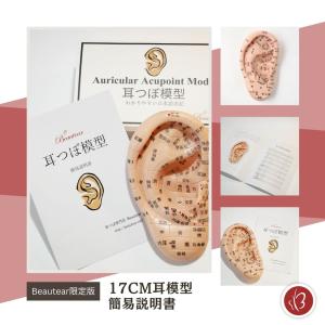 Beautear 耳つぼ模型 日本語版 17c...の詳細画像4