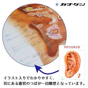 内臓の位置 イラストの商品一覧 通販 Yahoo ショッピング