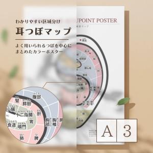耳つぼポスター 耳つぼ位置確認 初心者向け A...の詳細画像1