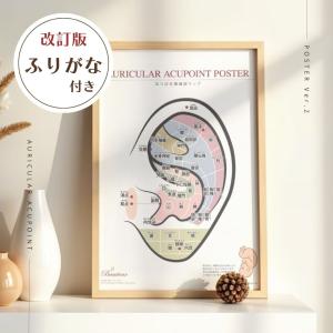 耳つぼポスター 耳つぼ位置確認 初心者向け A...の詳細画像3