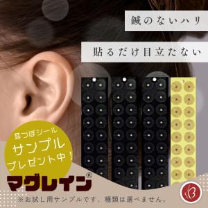 耳つぼダイエット マニュアル つぼ押し スティ...の詳細画像4