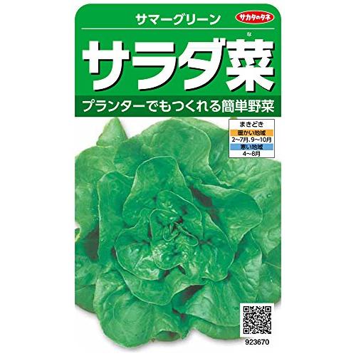 サカタのタネ 実咲野菜3670 サラダ菜 サマーグリーン 00923670