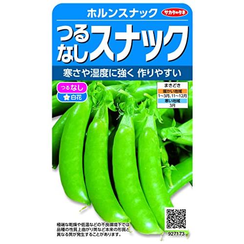 実咲野菜 エンドウ つるなしスナック ホルンスナック 小袋003136